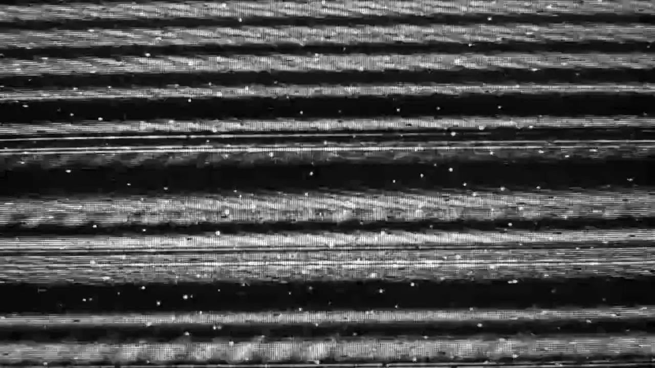 Video Roundup: Yung Nnelg, Ocho&Ibs, Bokoesam, Ray Fuego & Loopey - Patta